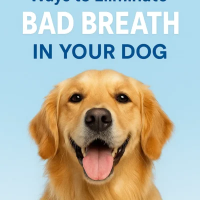 Fresh Breath, Happy Life