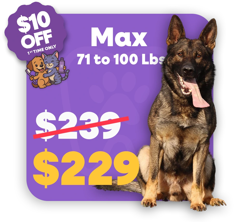Max (1)