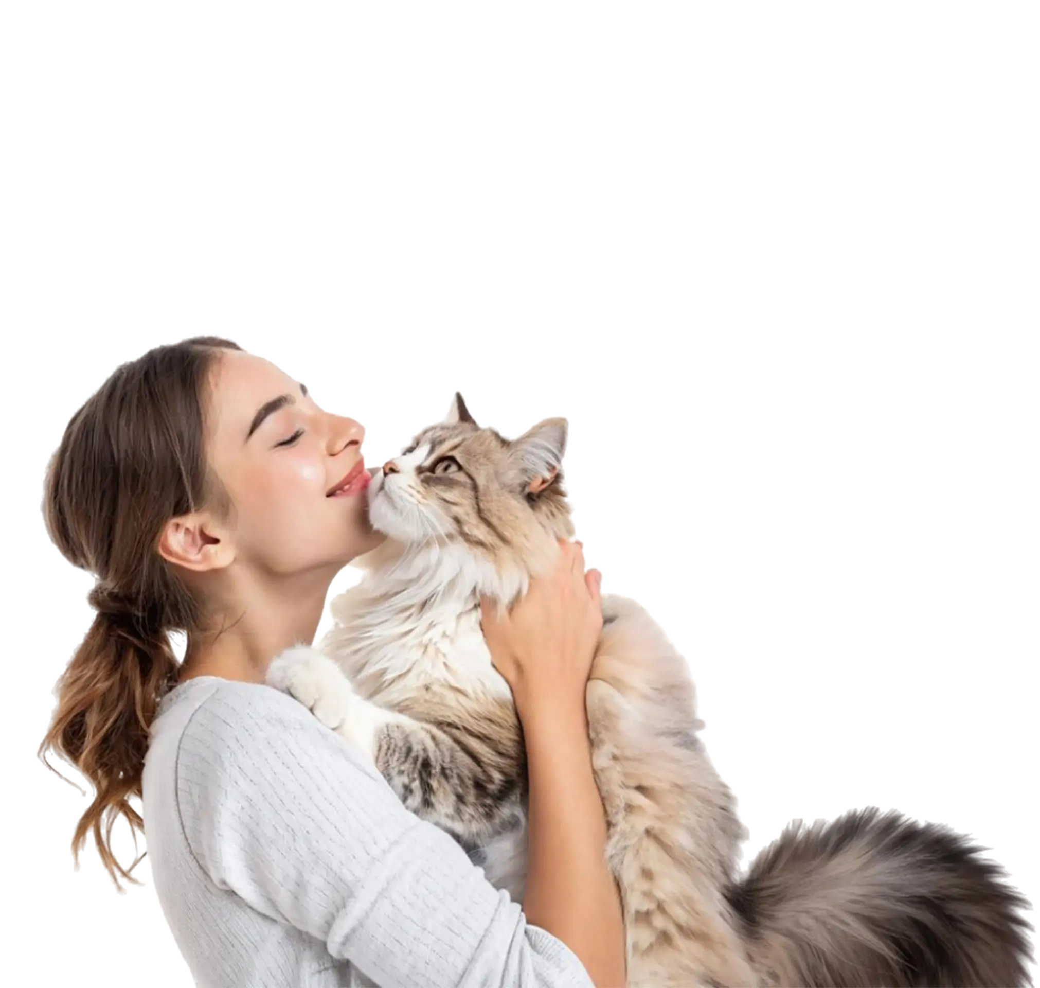 Pet Owner