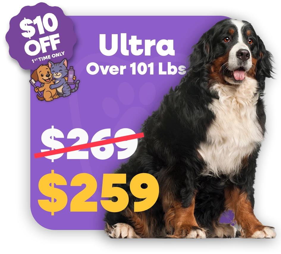 Ultra (1)