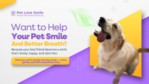 Bad Breath in Dogs: Why It’s Not Normal and How Pet Love Smile Can Help