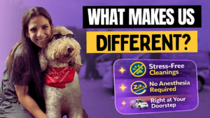 What Makes Our Dental Cleaning Process Different? Gentle, Stress-Free Care Your Pet Can Feel