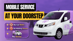 No Car Rides. No Stress. No Waiting Rooms. A Better Way to Care for Your Pet’s Smile