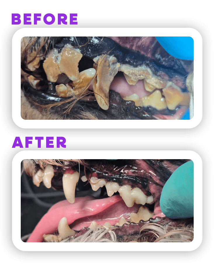 Before and Afeter 1