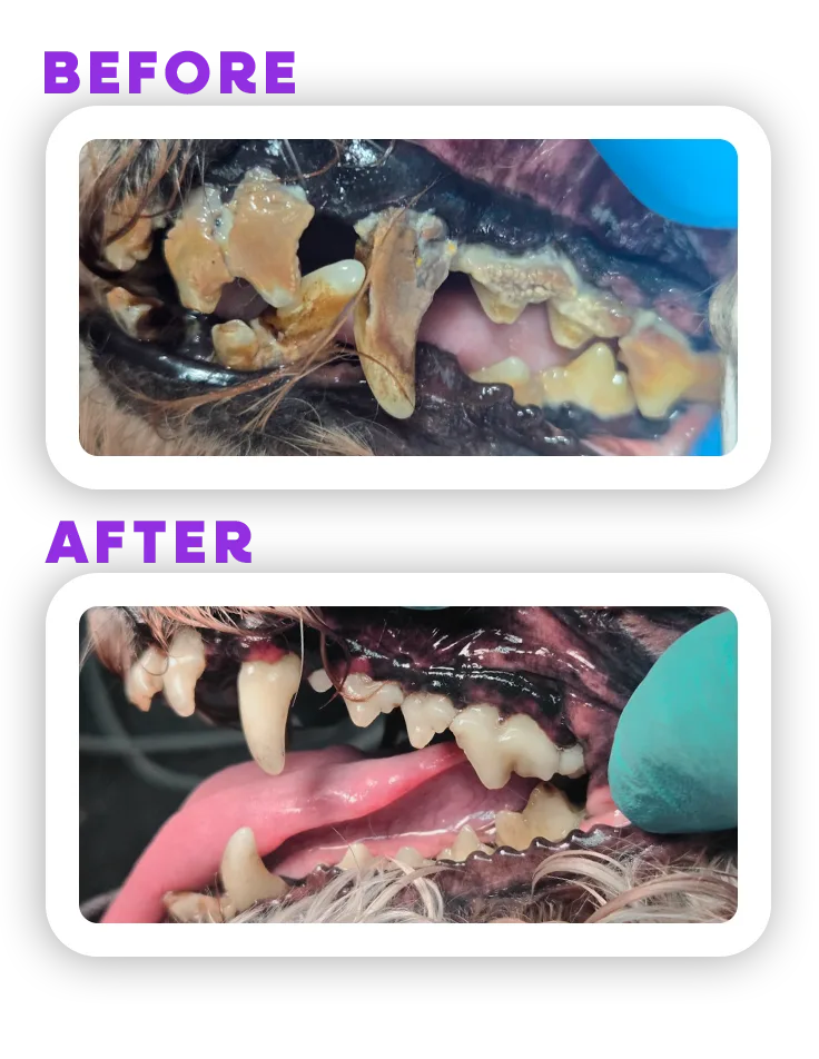 Before and Afeter 1