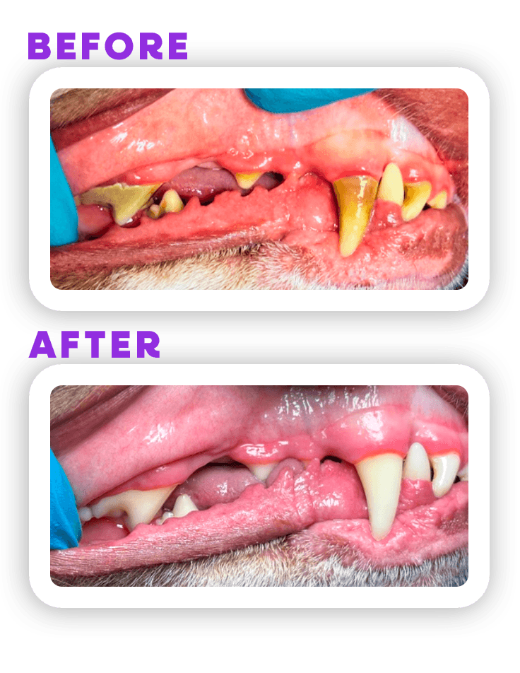 Before and Afeter 2