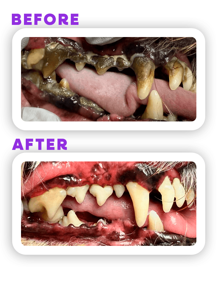 Before and Afeter 3