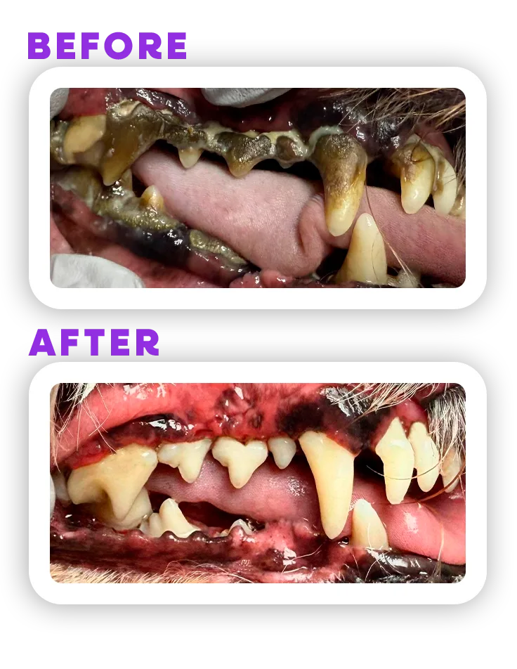 Before and Afeter 3
