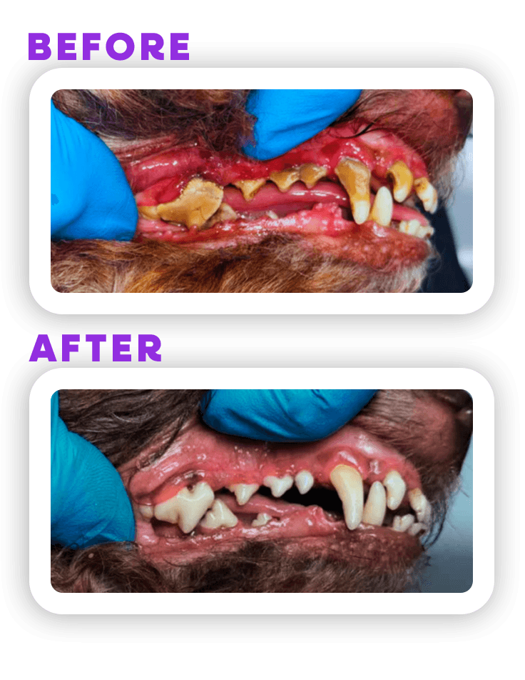 Before and Afeter 4