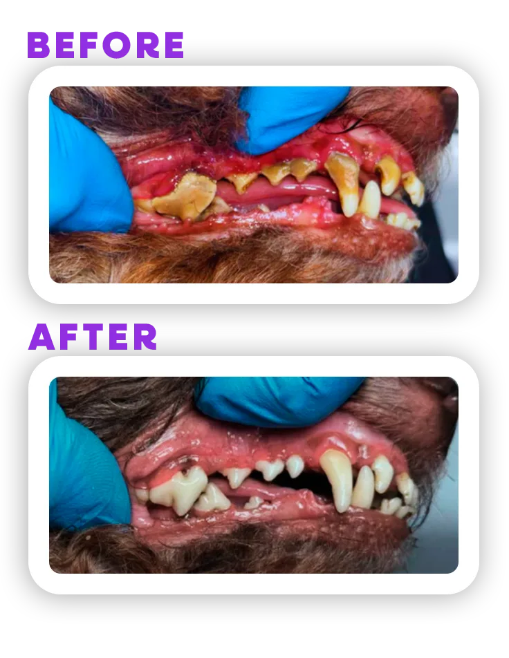 Before and Afeter 4