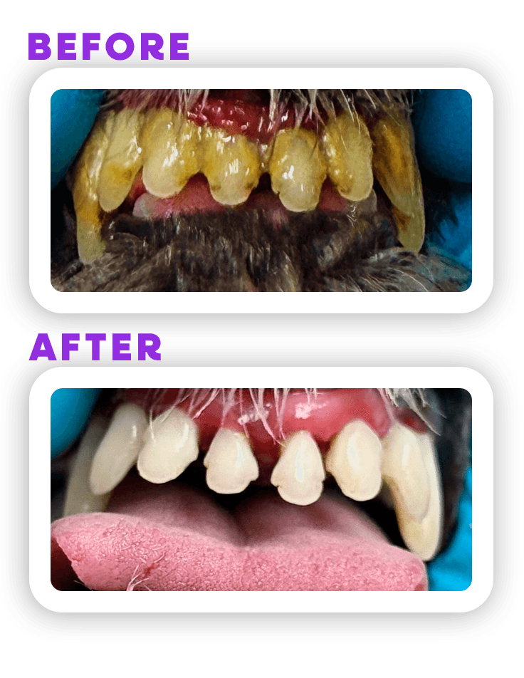 Before and Afeter 5