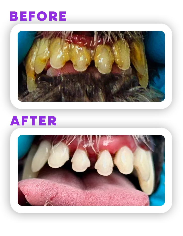 Before and Afeter 5