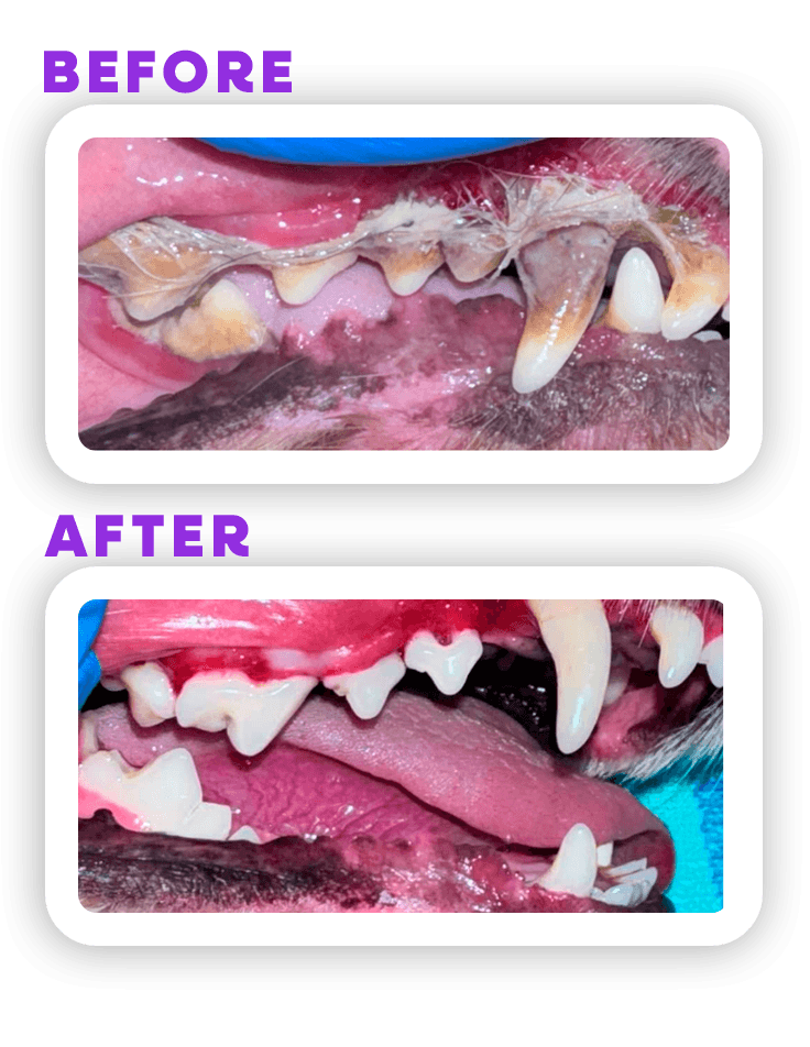 Before and Afeter 6