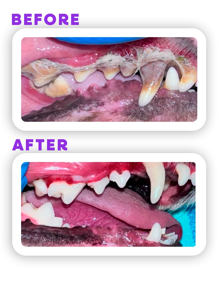 Before and Afeter 6