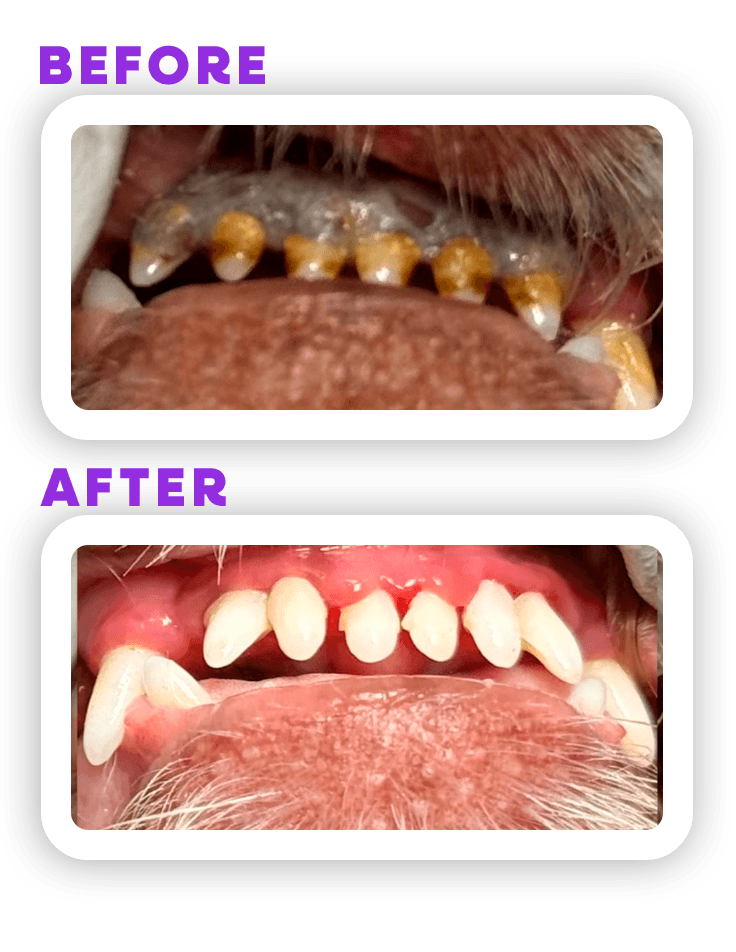 Before and Afeter 7