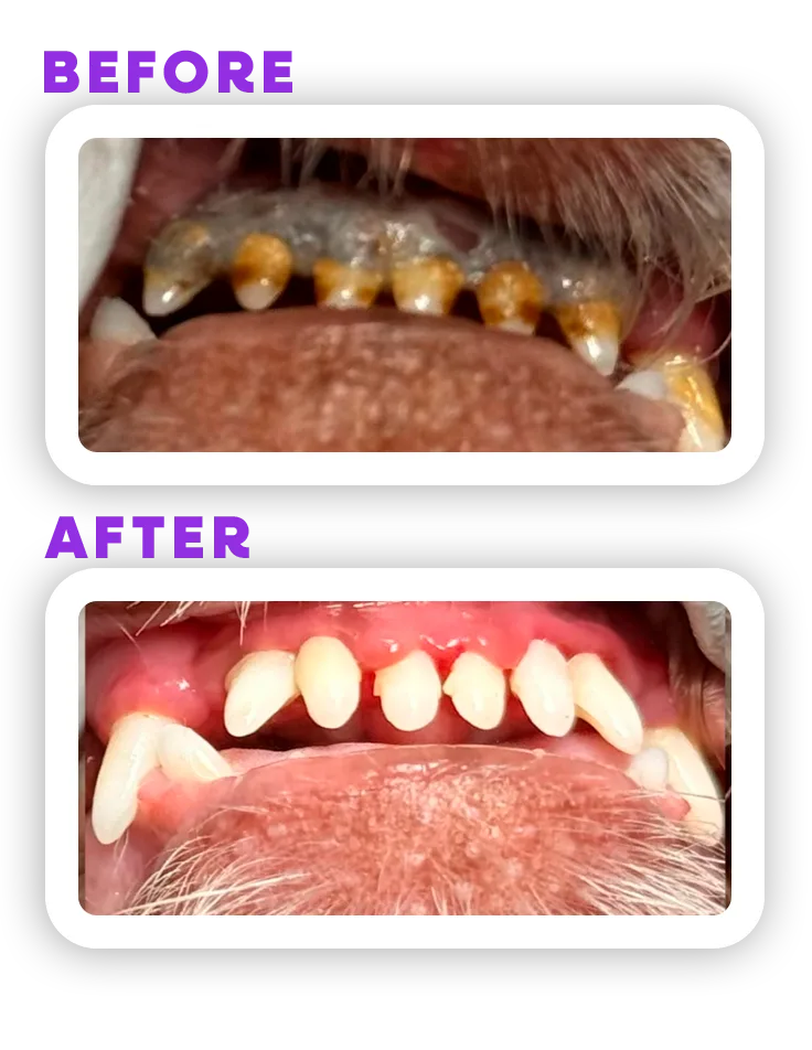 Before and Afeter 7