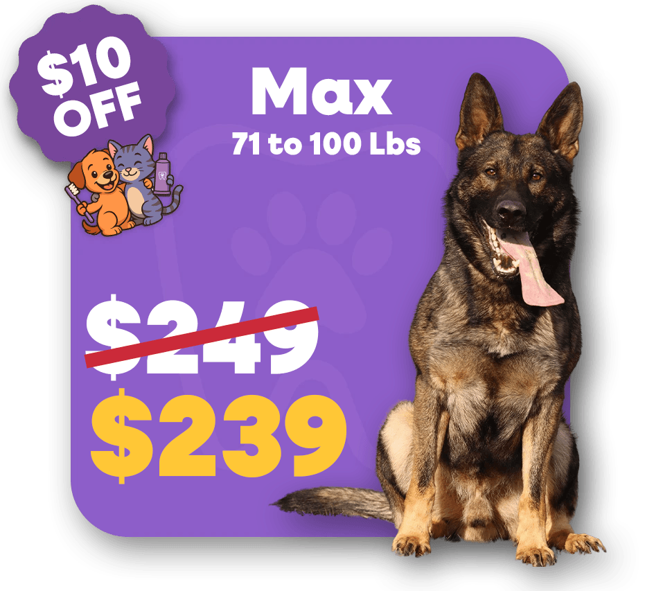 Max (1)