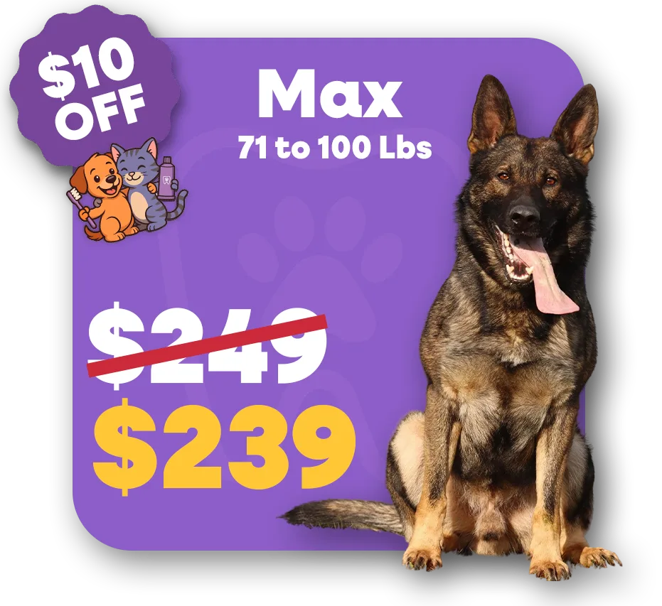 Max (1)