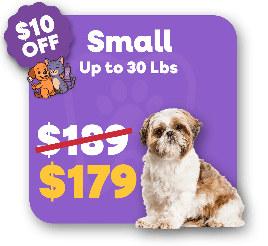 Small (1)