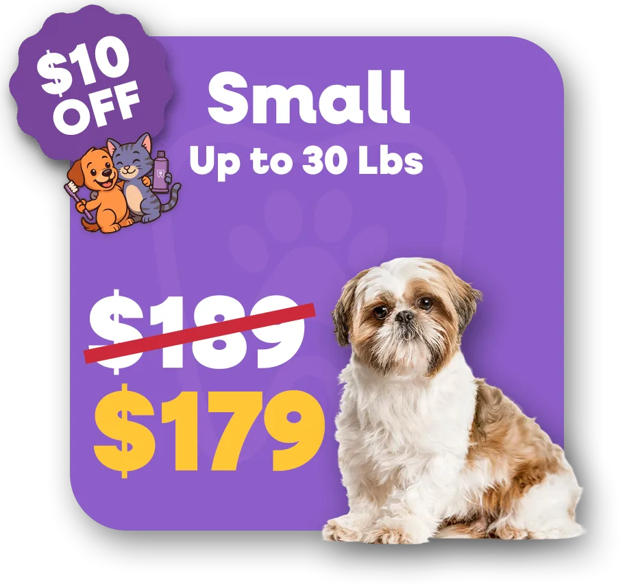 Small (1)