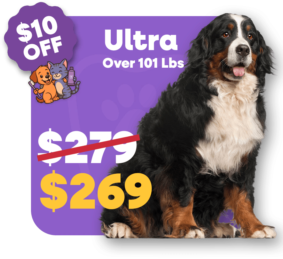 Ultra (1)