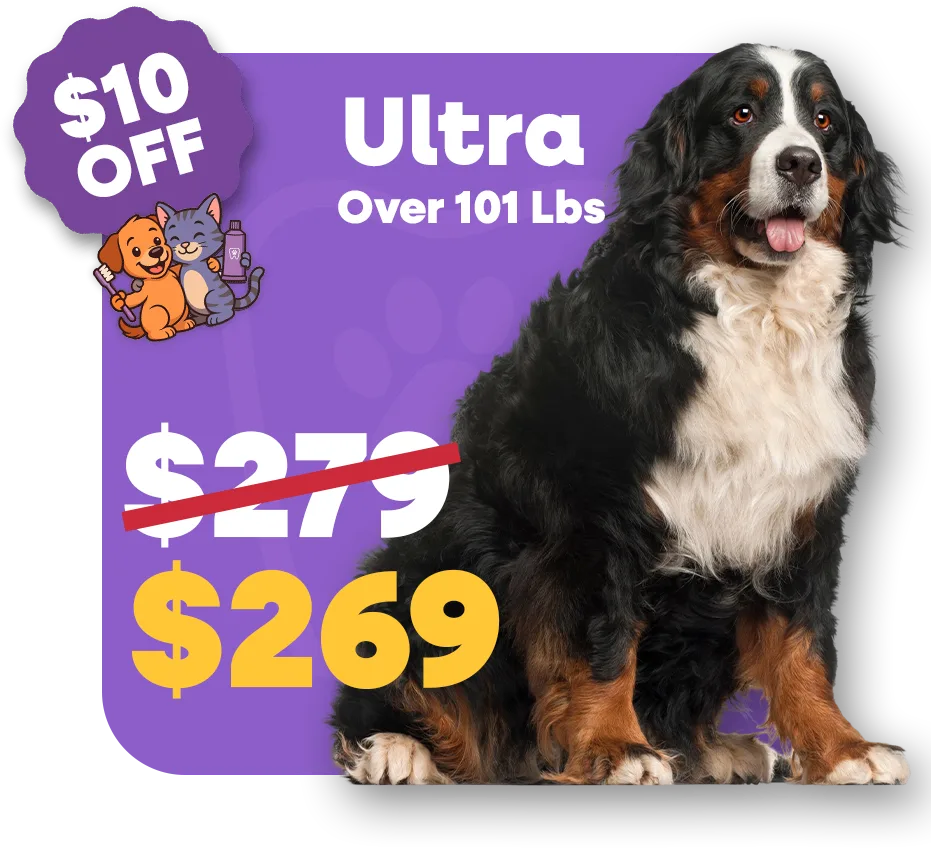 Ultra (1)