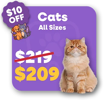 Price Cat