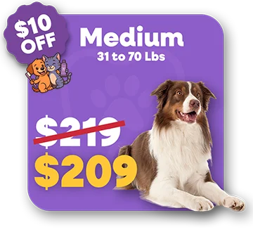 Price Medium