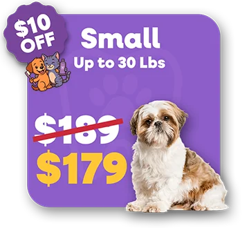 Price Small